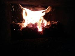 IMG_20180118_084126.jpg