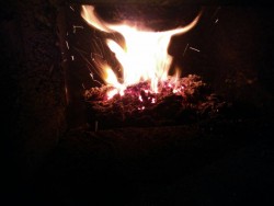 IMG_20180222_213650.jpg